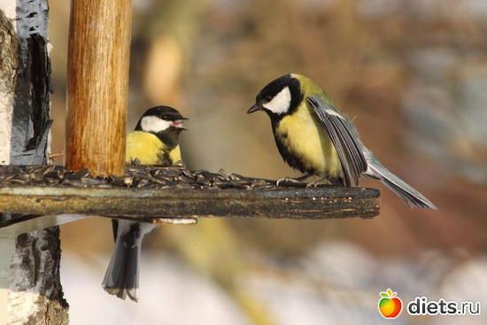 6 ����: �������