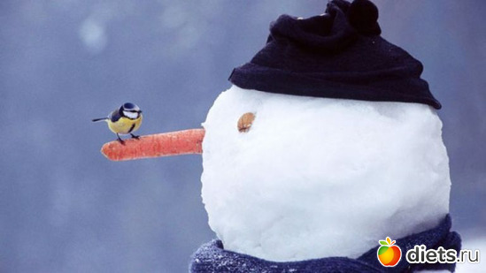 18 ����: �������