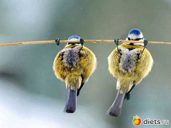 19 ����: �������