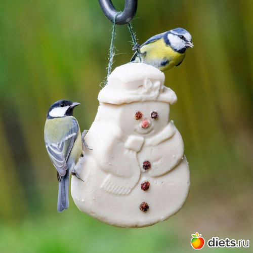 21 ����: �������