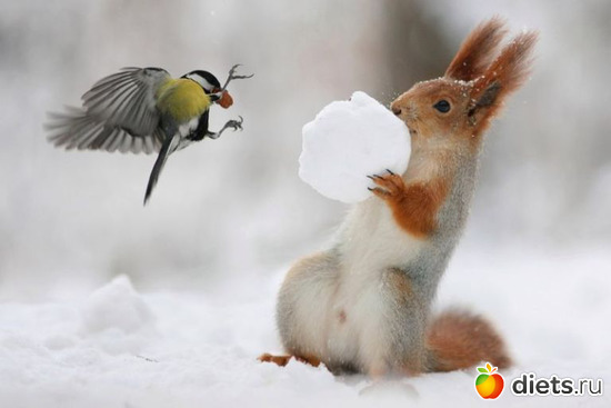 25 ����: �������