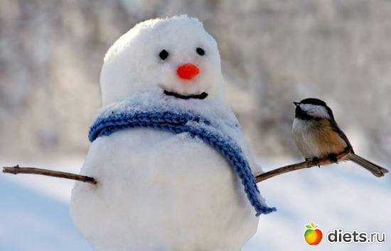 28 ����: �������