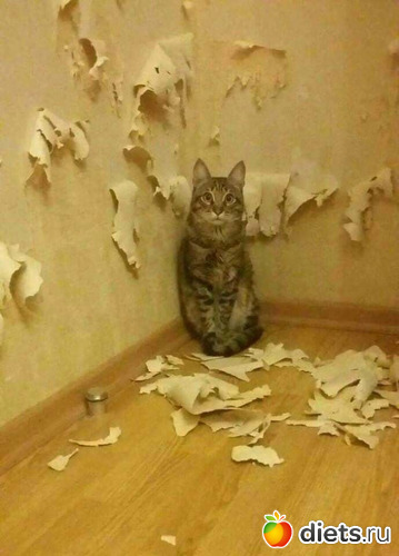 7 фото: Созданы для уюта и тепла