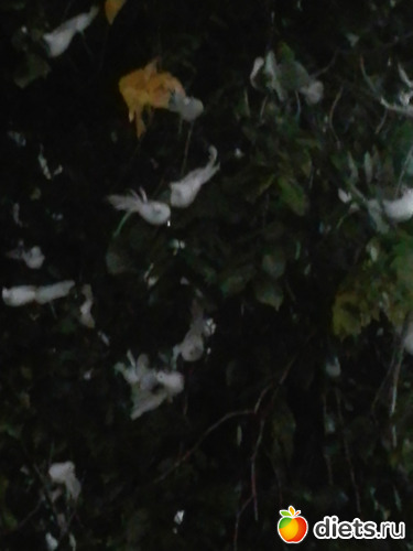 1 ����: ����...���+���� �������� 2019