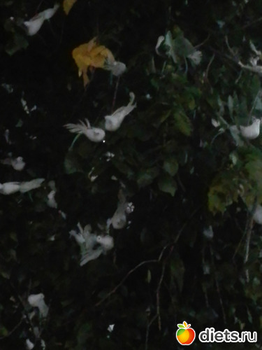 2 ����: ����...���+���� �������� 2019