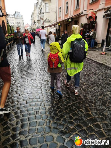 1 ����: �����2019