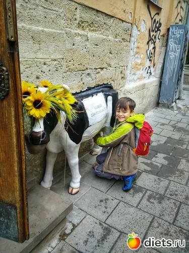 4 фото: Львов2019
