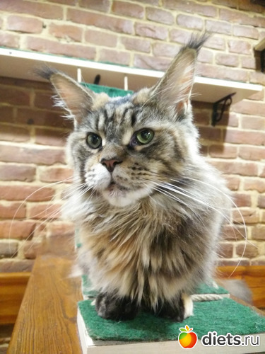 15 фото: Львов2019