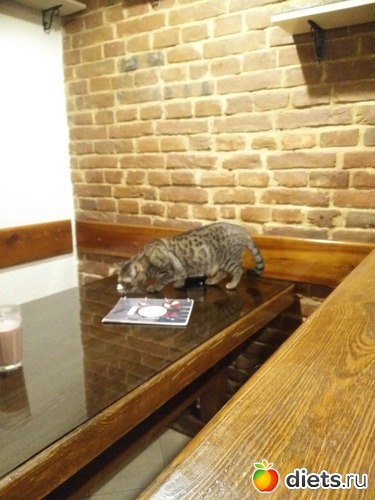 16 ����: �����2019