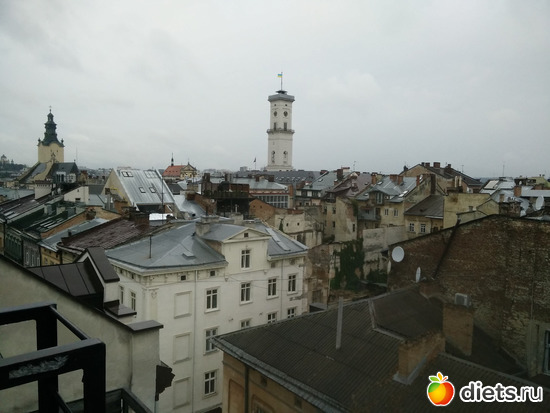 17 ����: �����2019