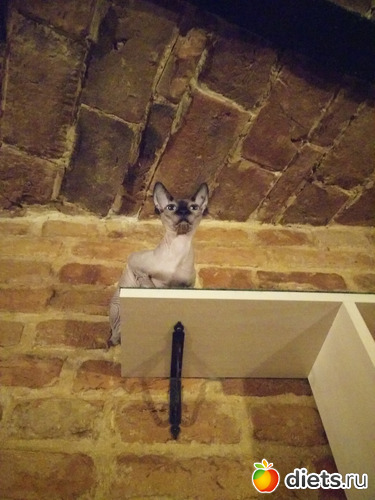 20 ����: �����2019