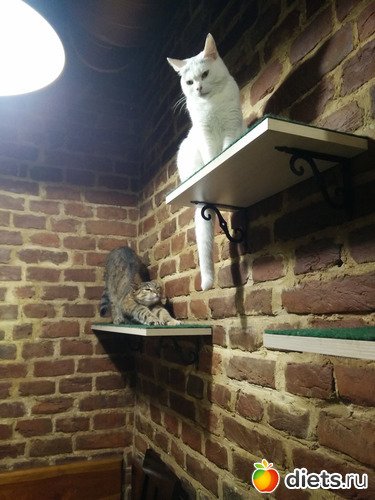 21 ����: �����2019