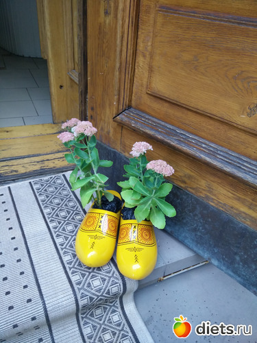 27 ����: �����2019