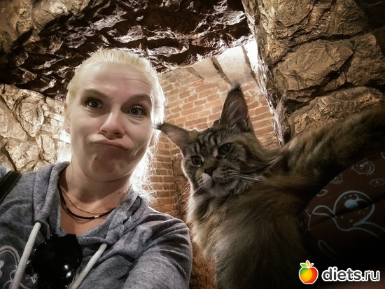 29 ����: �����2019