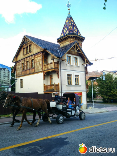 1 ����: ���������