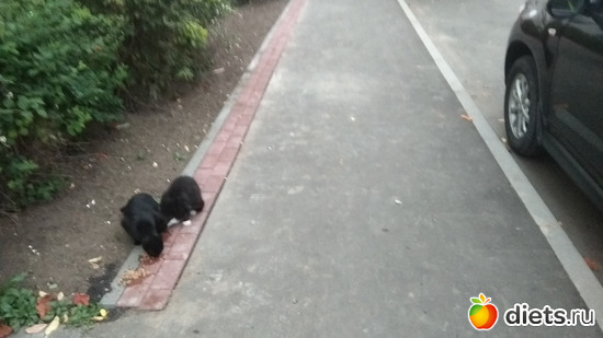 ������ ������� 6 ���� 1, ������: �������� 2019