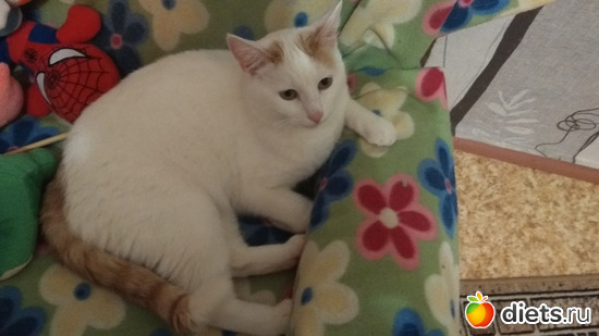 ���� 6 ����, ������: �������� 2019