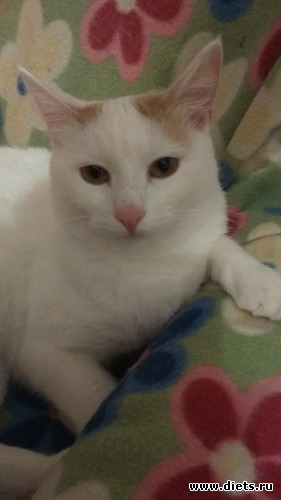 ���� 6 ���� 1, ������: �������� 2019