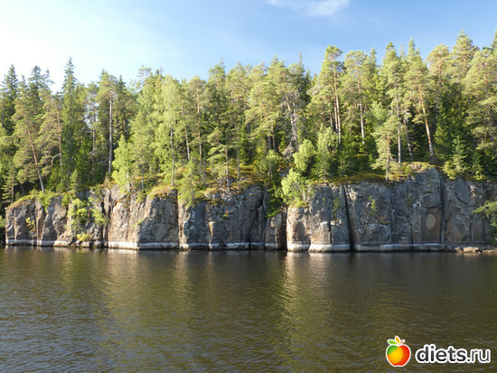 ������, ������: ������2019