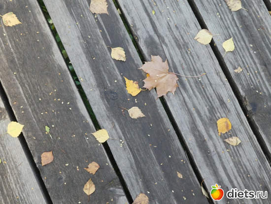 ������� ���, ������: ������2019