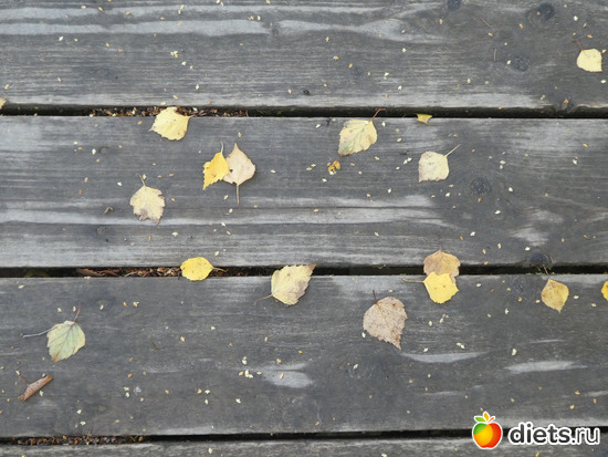 ���2, ������: ������2019