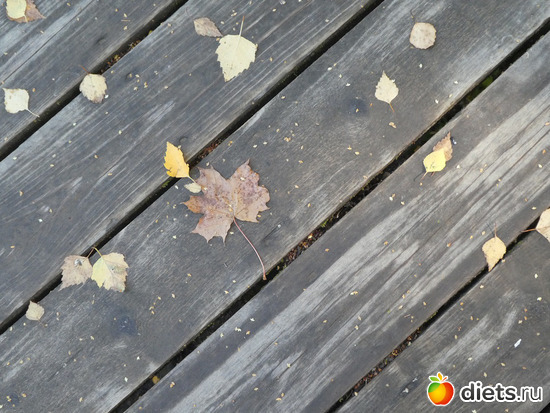 ���3, ������: ������2019