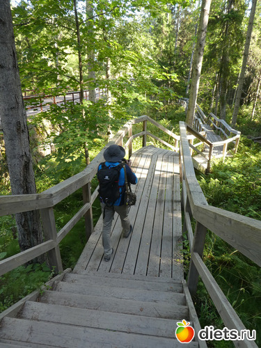 переход через овраг, альбом: Валаам2019