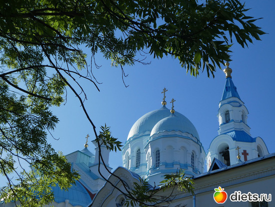 �����, ������: ������2019