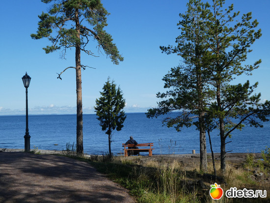 �����, ������: ������2019