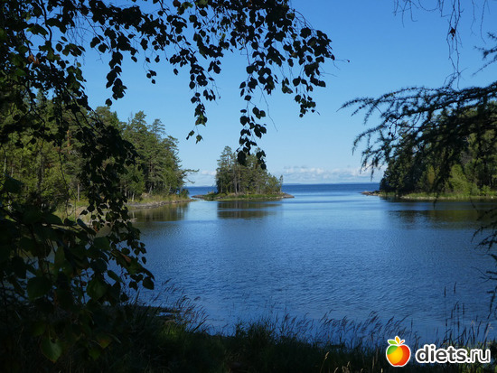 пейзаж, альбом: Валаам2019