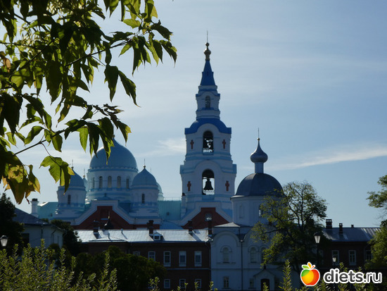 �����2, ������: ������2019