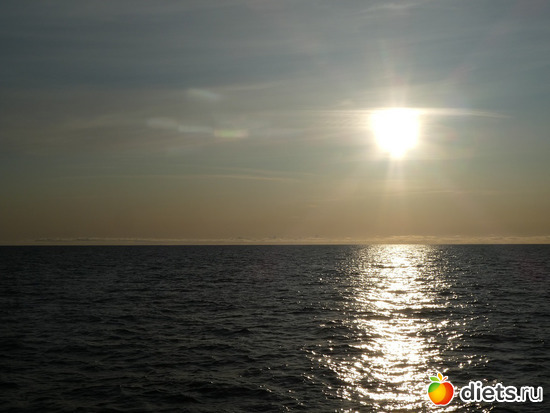 ������2, ������: ������2019