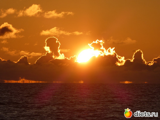 ������4, ������: ������2019