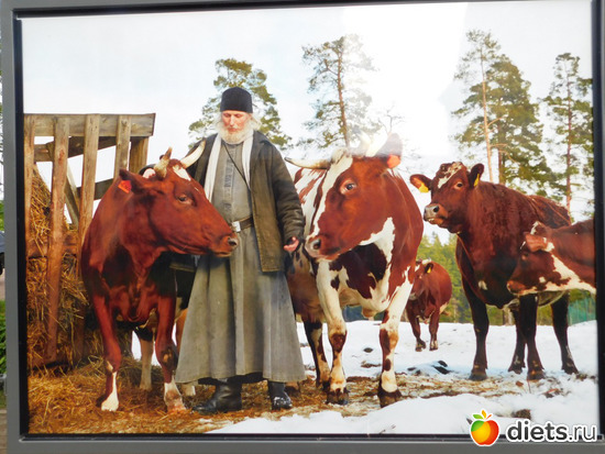 "������������ ������" ���� ������ ���������, ������: ������������ ��� �������� ����� ������� ������ ������