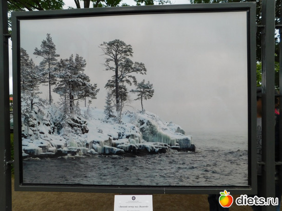 "������ ����� �� ������" ���� ������ ���������, ������: ������������ ��� �������� ����� ������� ������ ������