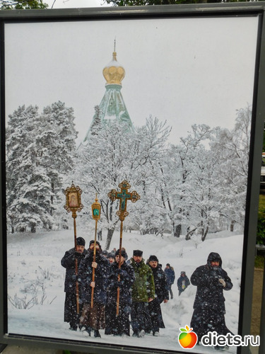 "���������� �������� ���" ���� ����� ������, ������: ������������ ��� �������� ����� ������� ������ ������