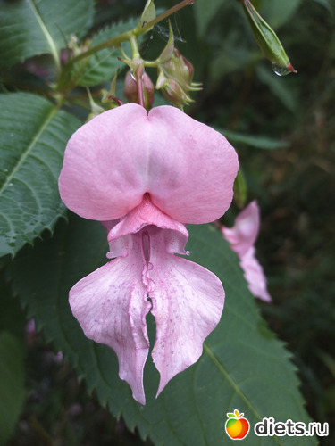 3 ����: ������