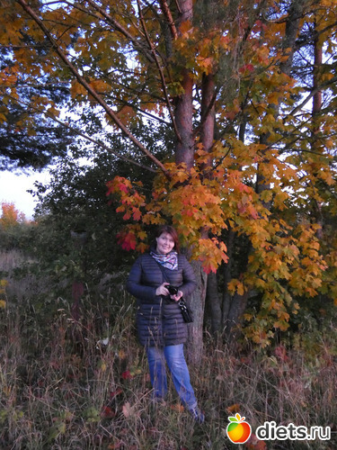 6 ����: ������