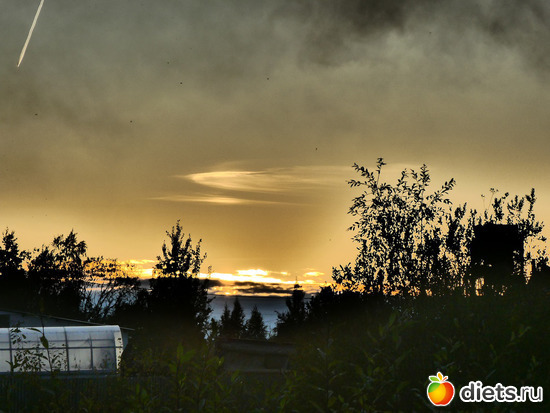 7 фото: Разное