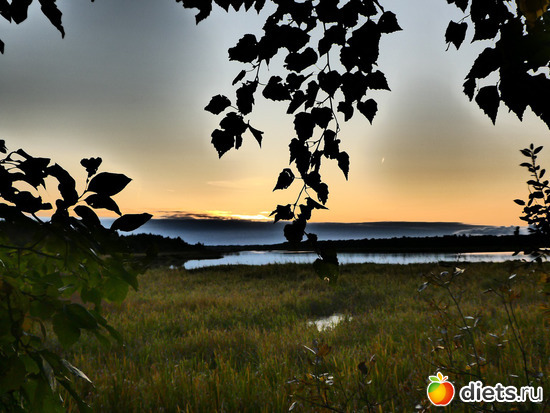 8 ����: ������