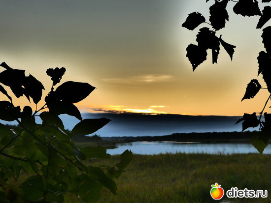 9 фото: Разное