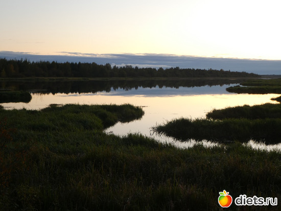 10 ����: ������