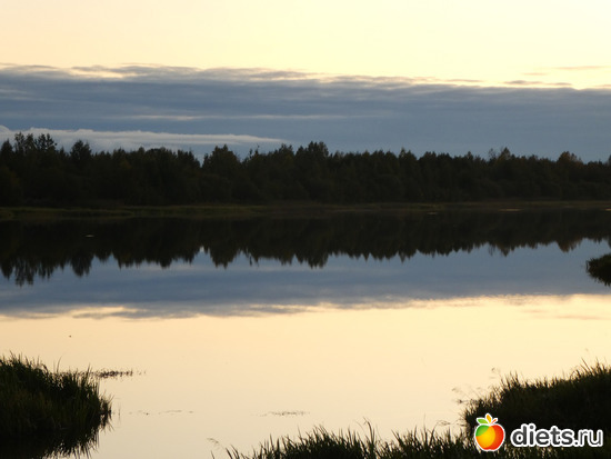 11 ����: ������