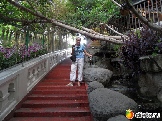 Золотая гора, альбом: Бангкок 2020