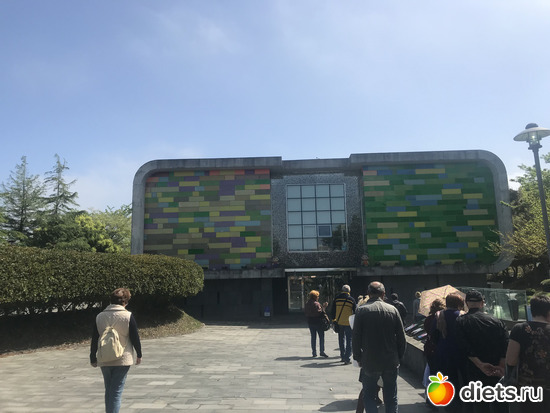 131 фото: Южная Корея. Апрель 2019