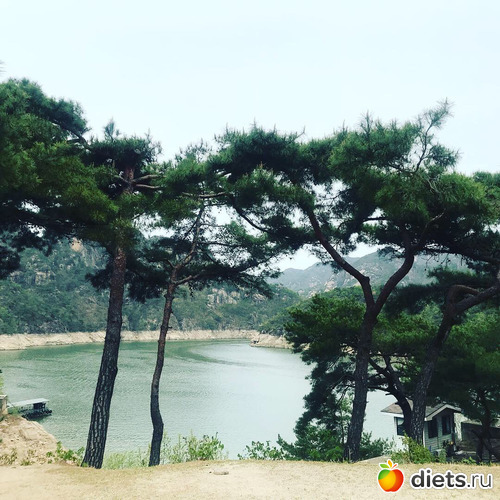 106 фото: Южная Корея. Апрель 2019