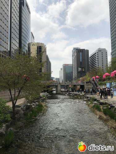 37 ����: ����� �����. ������ 2019