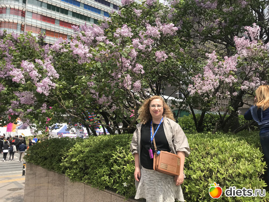 20 фото: Южная Корея. Апрель 2019