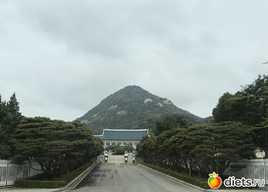 41 фото: Южная Корея. Апрель 2019