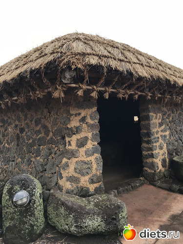 116 фото: Южная Корея. Апрель 2019